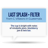 Quietly Coffee • Last Splash • C. Villatoro in Guatemala (300g)