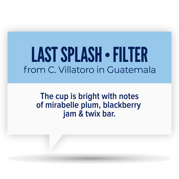 Quietly Coffee • Last Splash • C. Villatoro in Guatemala (300g)