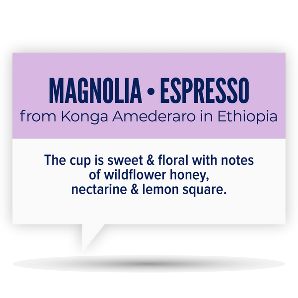 Quietly Coffee • Magnolia • Konga Amederaro (300g)