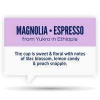 Quietly Coffee • Magnolia • Ethiopia (300g)