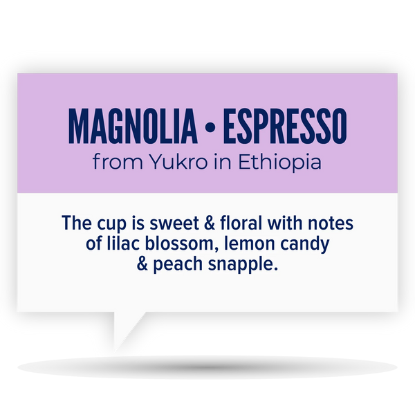 Quietly Coffee • Magnolia • Ethiopia (300g)