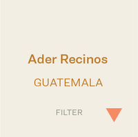 Bows - Guatemala Ader Recinos 300g (10.5oz)